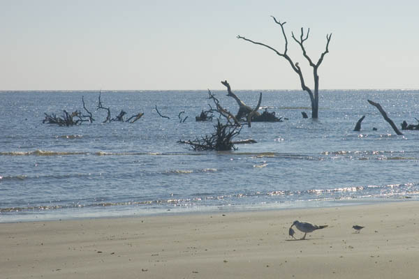 Tybee_Island_200711_57