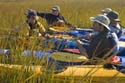 Tybee_Island_200711_34