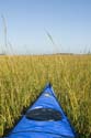 Tybee_Island_200711_38