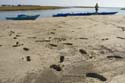 Tybee_Island_200711_49