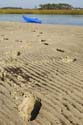 Tybee_Island_200711_50