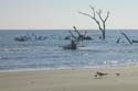 Tybee_Island_200711_57