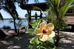 Utila_0603_14