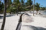 Utila_0603_16