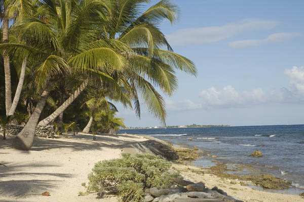 Utila_2008_004