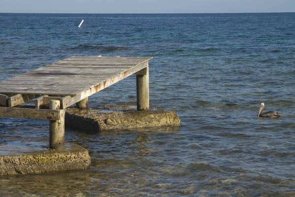 Utila_2008_005