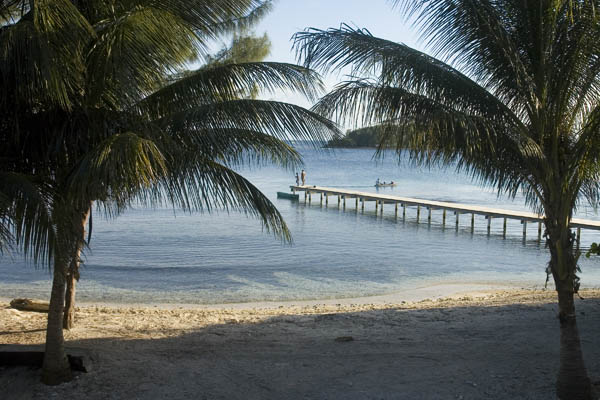 Utila_2008_042