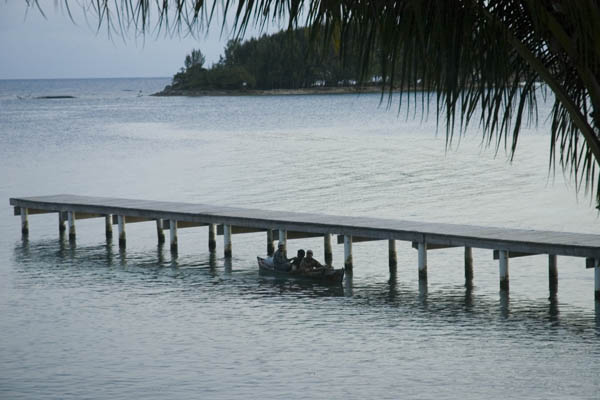 Utila_2008_050
