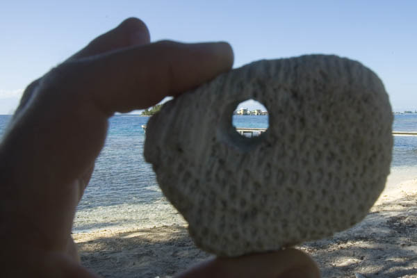 Utila_2008_067