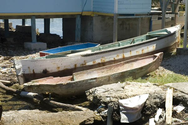 Utila_2008_076