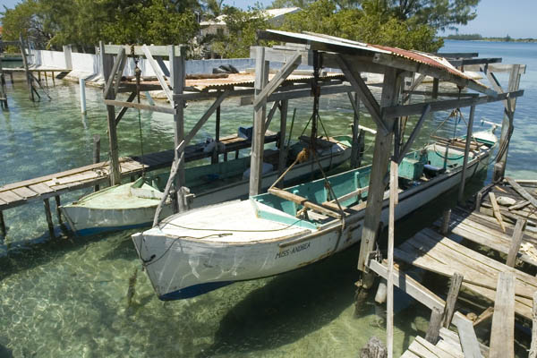 Utila_2008_080