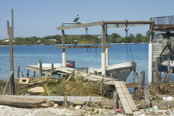 Utila_2008_082