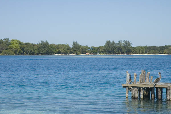 Utila_2008_084