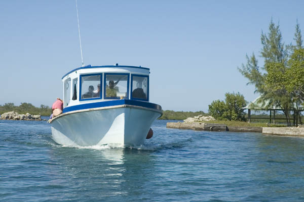Utila_2008_093