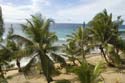 Utila_2008_001