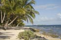 Utila_2008_004