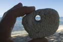 Utila_2008_067