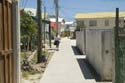 Utila_2008_073
