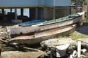 Utila_2008_076