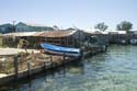 Utila_2008_086