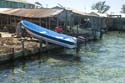 Utila_2008_087
