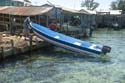 Utila_2008_088